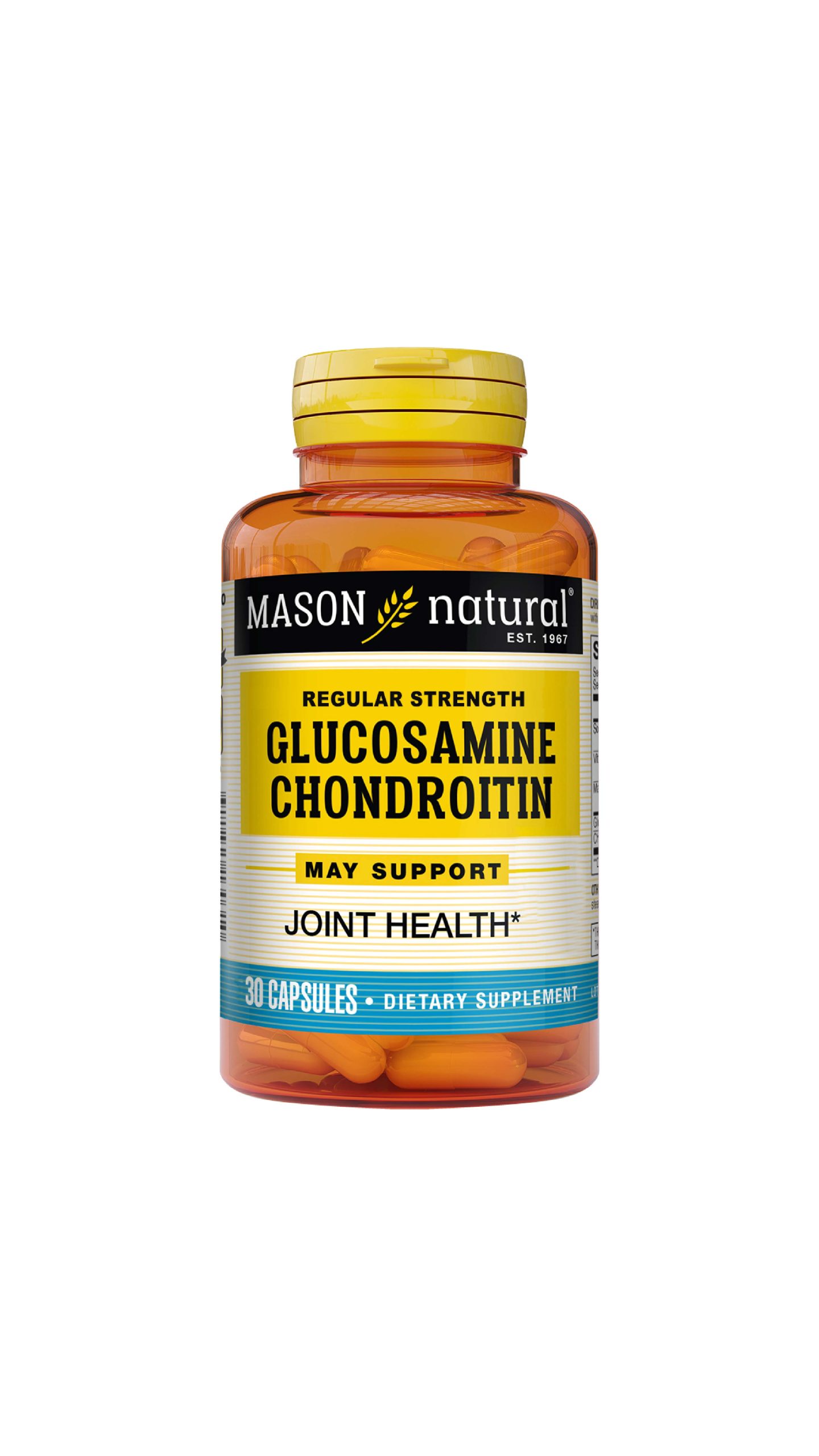 Glucosamine chondroitin
